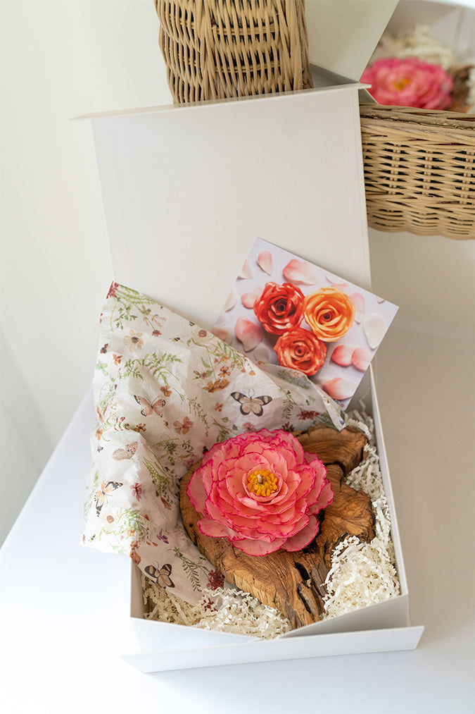 Quand le Packaging devient Émotion